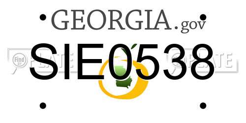 SIE0538 Georgia License Plate