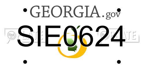 SIE0624 Georgia License Plate