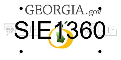 SIE1360 Georgia License Plate