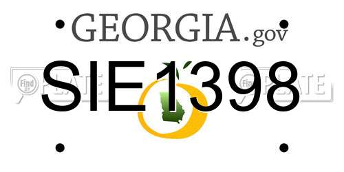 SIE1398 Georgia License Plate