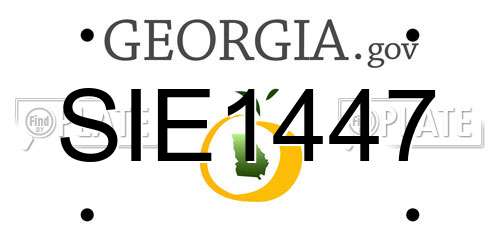 SIE1447 Georgia License Plate