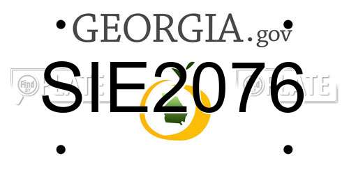 SIE2076 Georgia License Plate