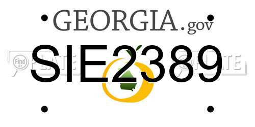 SIE2389 Georgia License Plate