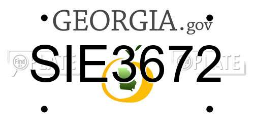 SIE3672 Georgia License Plate
