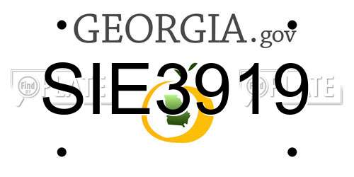 SIE3919 Georgia License Plate