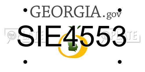 SIE4553 Georgia License Plate