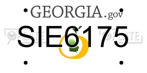 SIE6175 Georgia License Plate