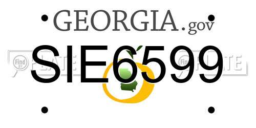 SIE6599 Georgia License Plate