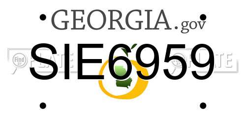 SIE6959 Georgia License Plate