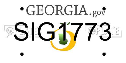 SIG1773 Georgia License Plate