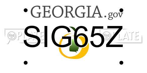 SIG65Z Georgia License Plate