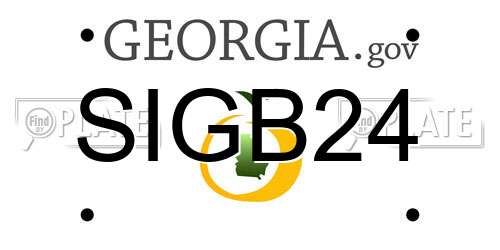 SIGB24 Georgia License Plate