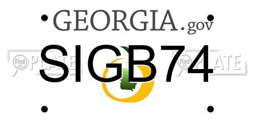SIGB74 Georgia License Plate