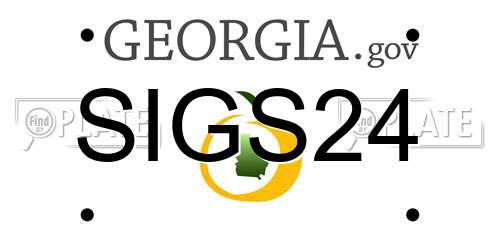 SIGS24 Georgia License Plate