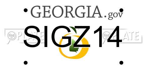 SIGZ14 Georgia License Plate
