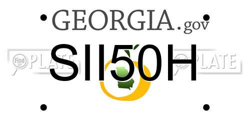 SII50H Georgia License Plate