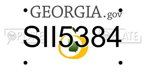 SII5384 Georgia License Plate