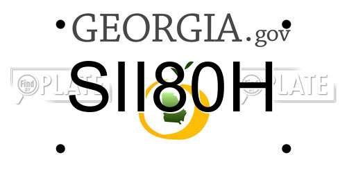 SII80H Georgia License Plate