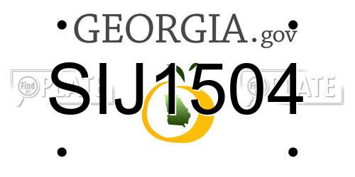 SIJ1504 Georgia License Plate