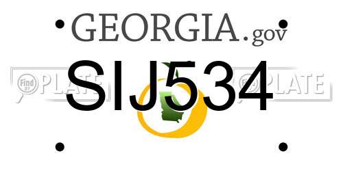 SIJ534 Georgia License Plate