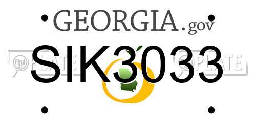 SIK3033 Georgia License Plate