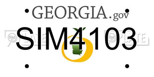 SIM4103 Georgia License Plate