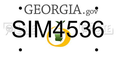 SIM4536 Georgia License Plate