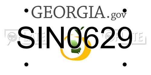 SIN0629 Georgia License Plate