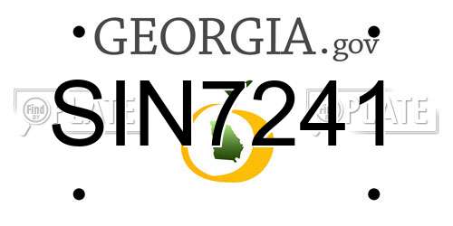 SIN7241 Georgia License Plate