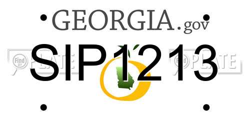 SIP1213 Georgia License Plate