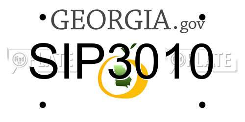 SIP3010 Georgia License Plate