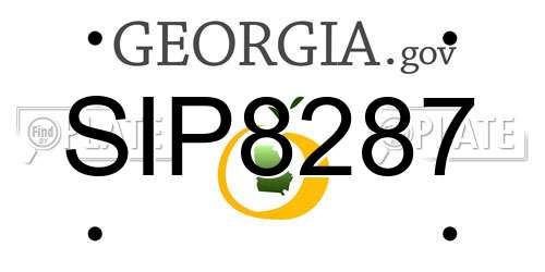 SIP8287 Georgia License Plate