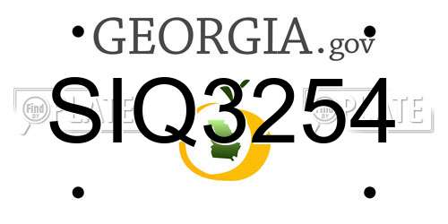 SIQ3254 Georgia License Plate