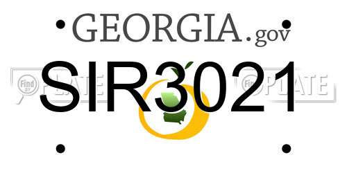SIR3021 Georgia License Plate