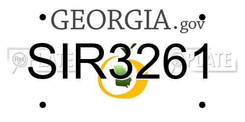 SIR3261 Georgia License Plate