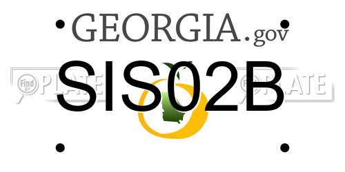SIS02B Georgia License Plate