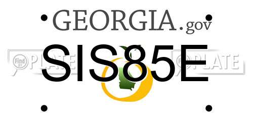 SIS85E Georgia License Plate