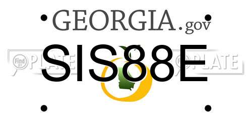 SIS88E Georgia License Plate