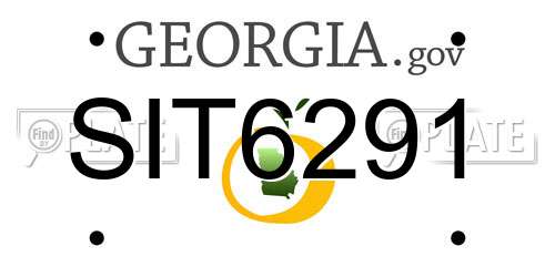 SIT6291 Georgia License Plate