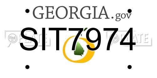 SIT7974 Georgia License Plate