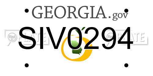 SIV0294 Georgia License Plate