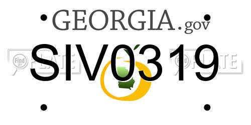 SIV0319 Georgia License Plate