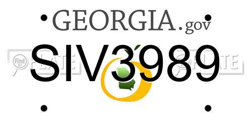 SIV3989 Georgia License Plate
