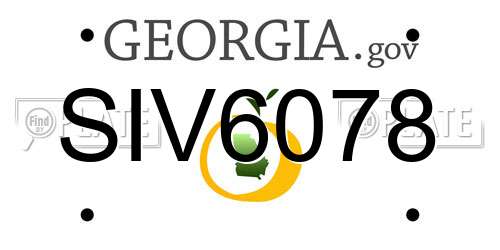 SIV6078 Georgia License Plate