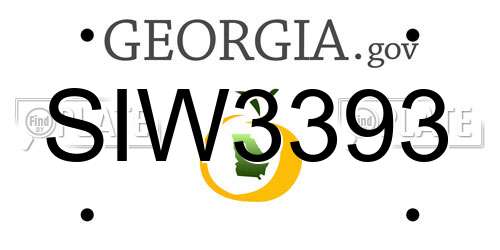 SIW3393 Georgia License Plate