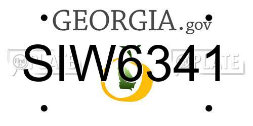 SIW6341 Georgia License Plate