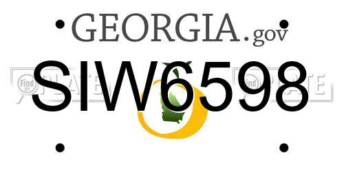 SIW6598 Georgia License Plate