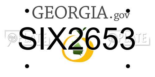 SIX2653 Georgia License Plate