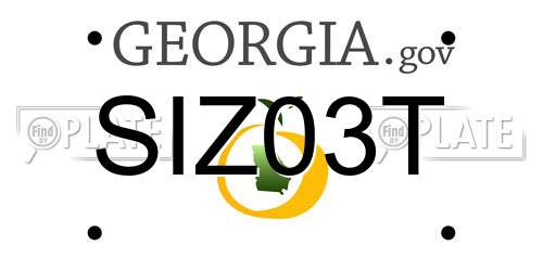 SIZ03T Georgia License Plate