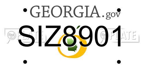 SIZ8901 Georgia License Plate